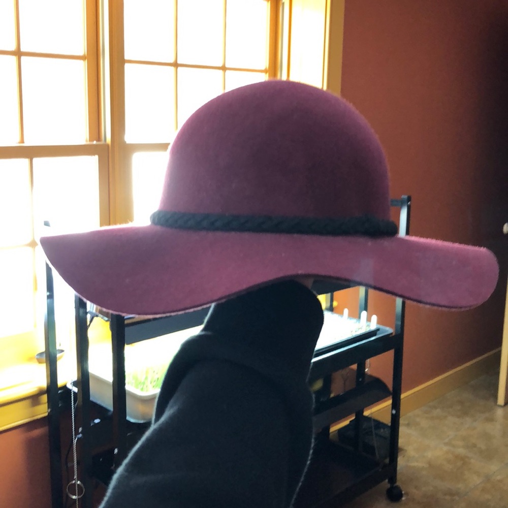 H&M Maroon felt hat